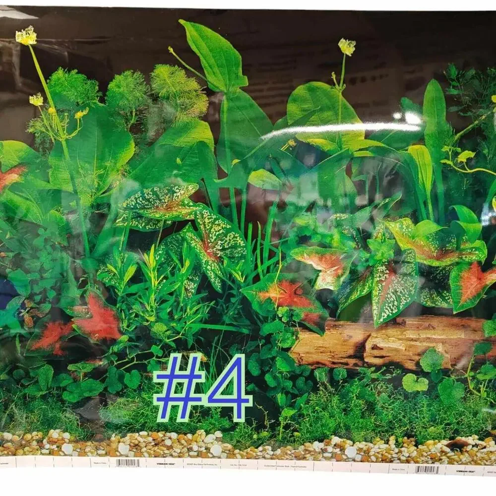 Aquarium/ Reptile Tank Backgrounds Choose your size- Double sided for added fun.